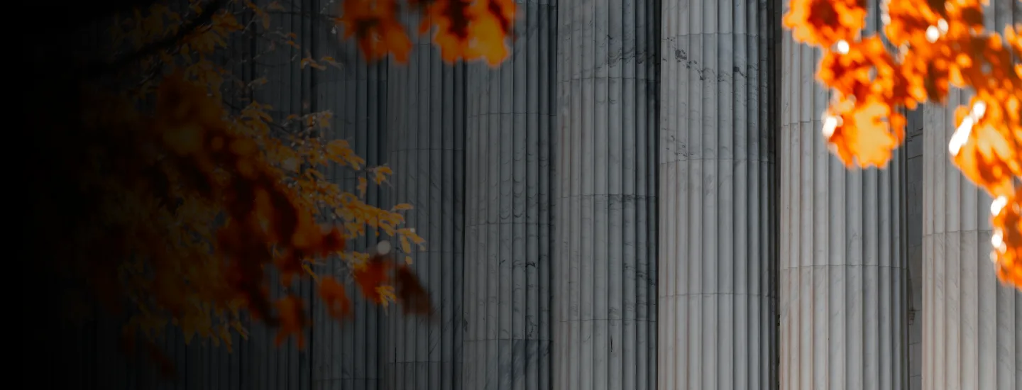Autumn leaves in the foreground of a government building with stately pillars