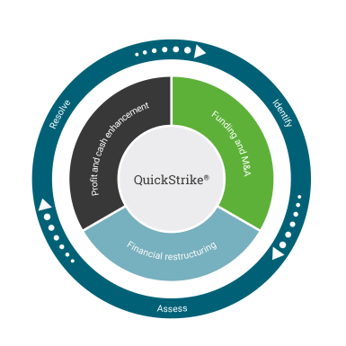 alixpartners quickstrike process offering chart