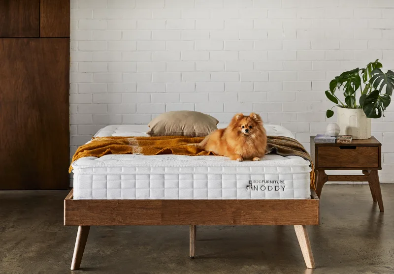 Myer King Single Bunk Bed Buddy Package | Bunk Bed & Mattresses