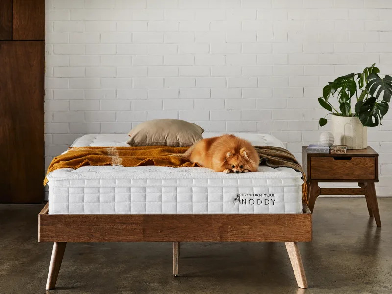 Myer Triple Bunk Bed Buddy Package | Bunk Bed & Mattresses