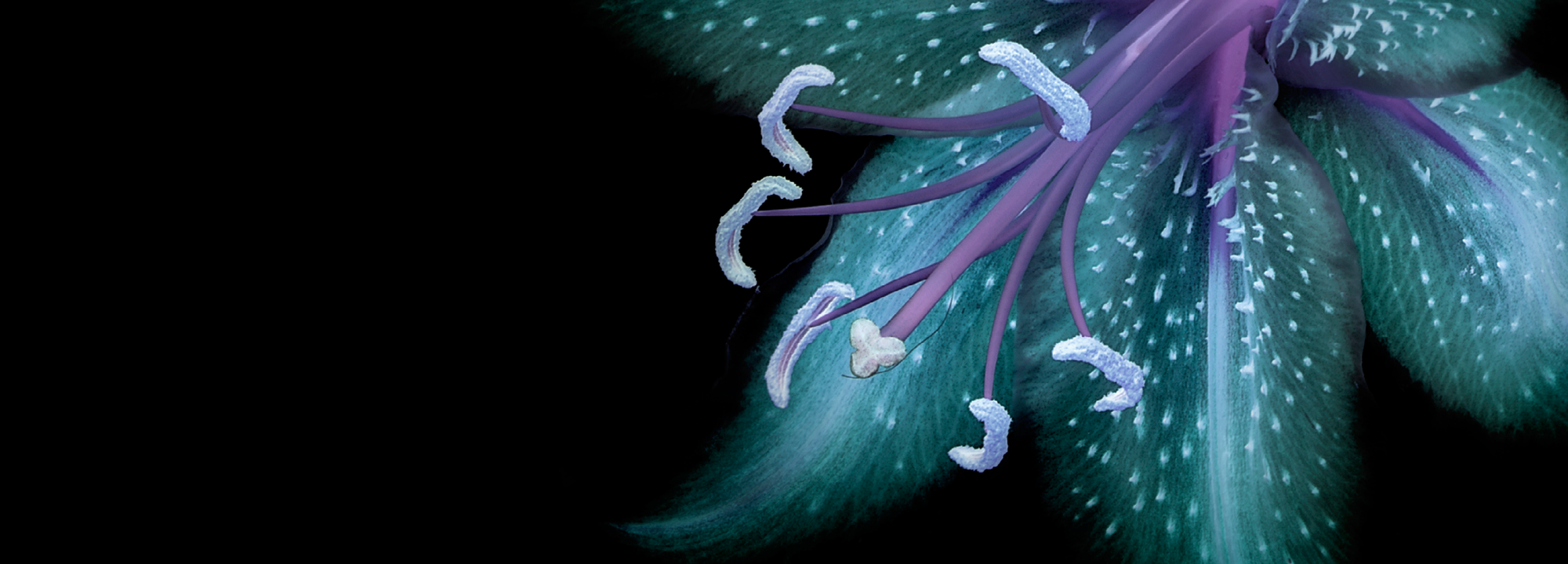 Crypto investors fail to revive BSV tweet-related 