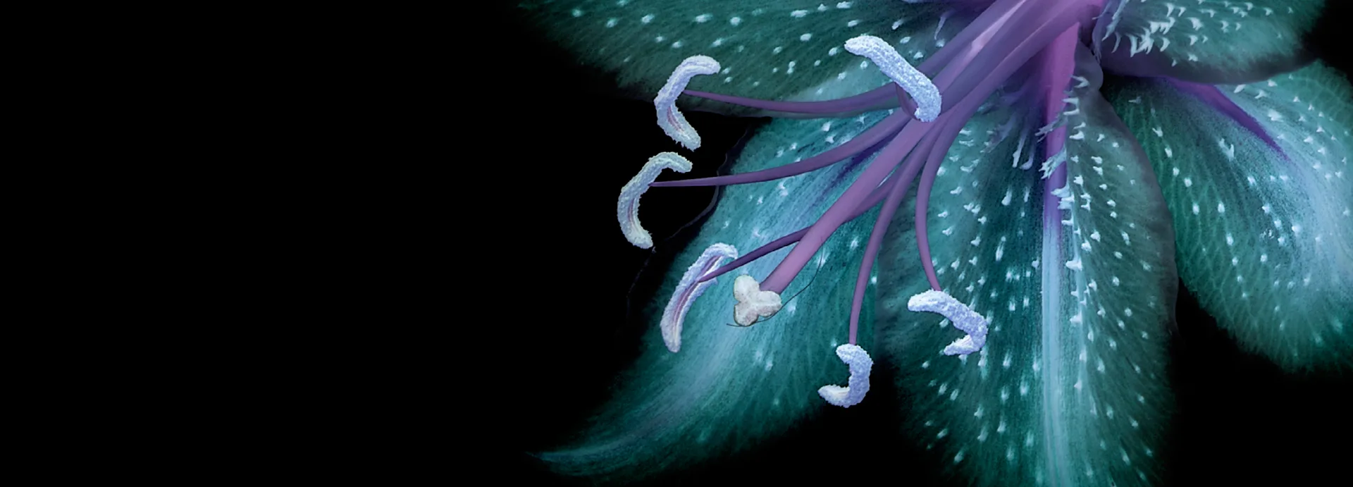 Crypto investors fail to revive BSV tweet-related 