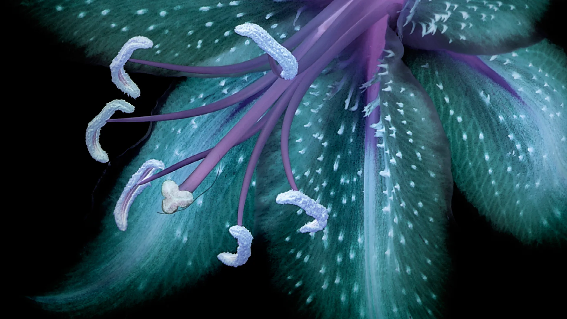 The unregulated world of cryptocurrency: ASA clamps down on Crypto.com |  macfarlanes