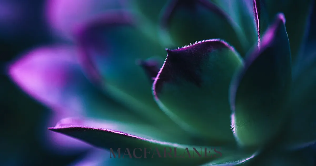 Investment management update - January 2026 - Macfarlanes