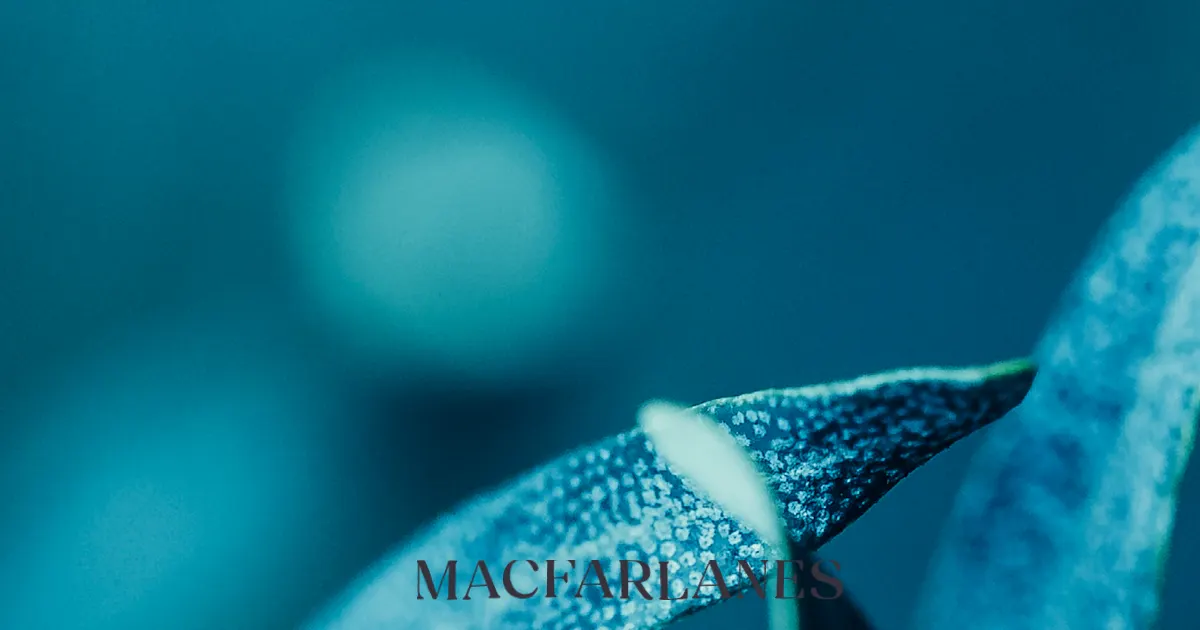 Corporate law update: 19 - 25 October 2024 - Macfarlanes