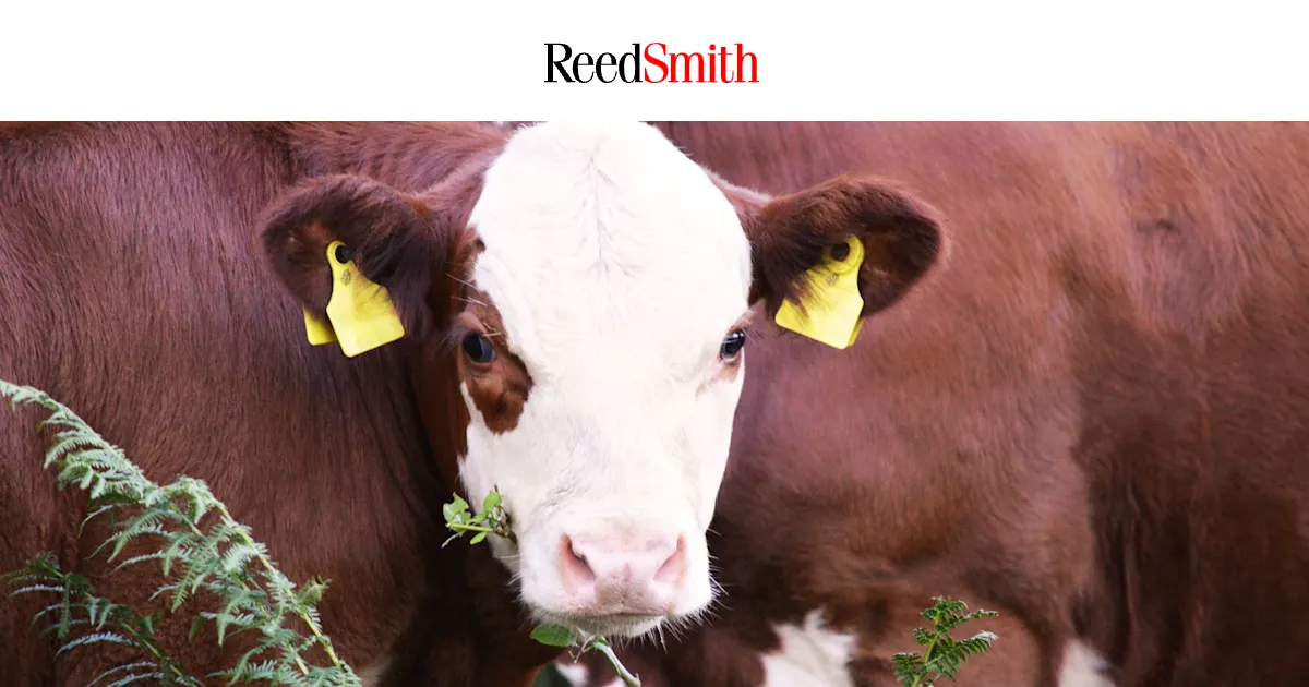 Ransomware attack on farmer - cow dies | ReedSmith