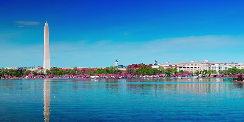 Washington D.C. waterscape