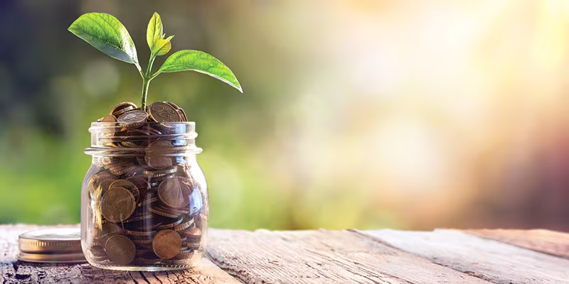 Plant growing out of coins image
