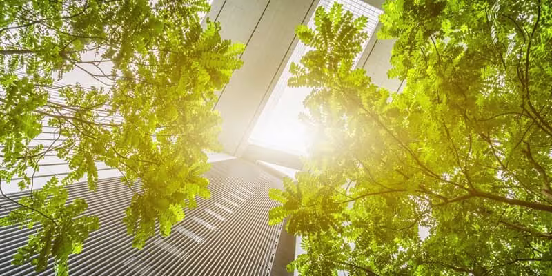 Trees with office building