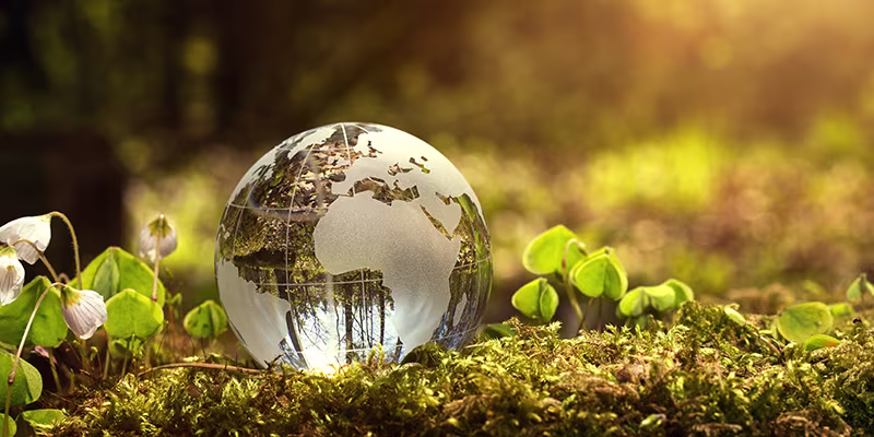 glass globe on ground image