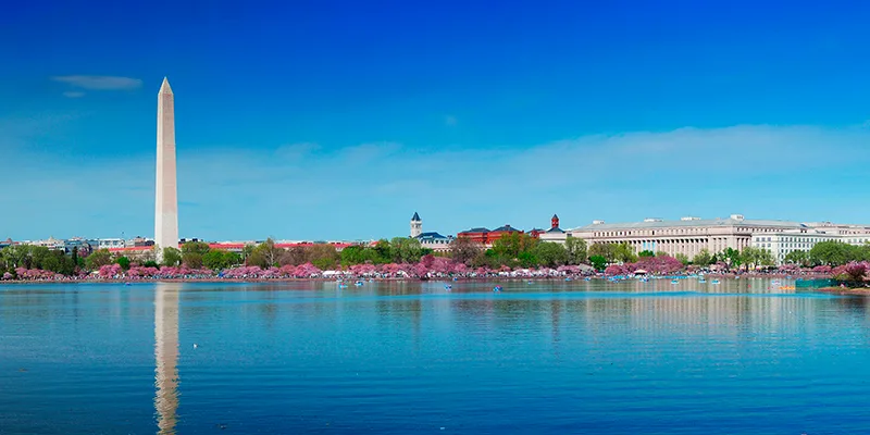 Washington D.C. waterscape