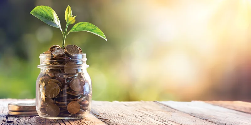 Plant growing out of coins image