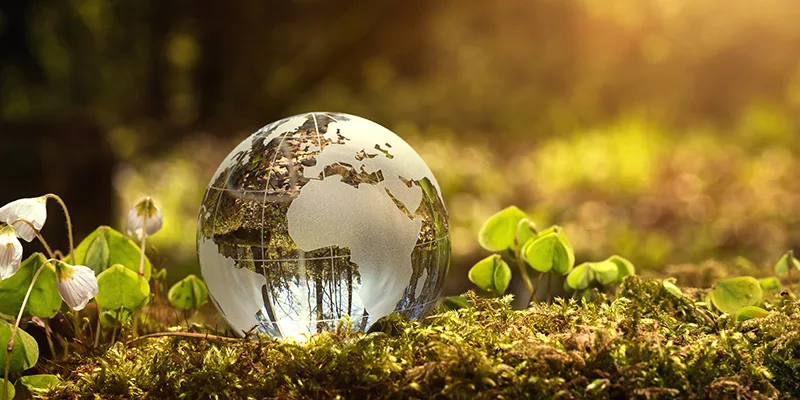 glass globe on ground image