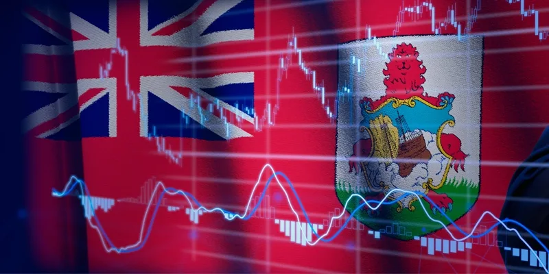 Bermuda form whitepaper image