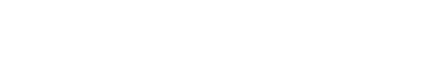 DevPulse Zwolle