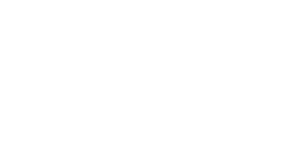 Sanity